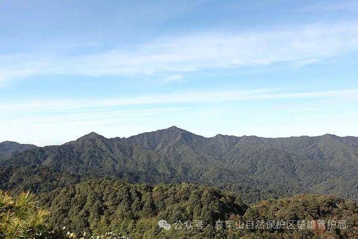 塞尔维亚超级联赛_云南哀牢山新规出台：禁止任何单位和个人擅入哀牢山自然保护区塞尔维亚超级联赛，从事科研活动须报批