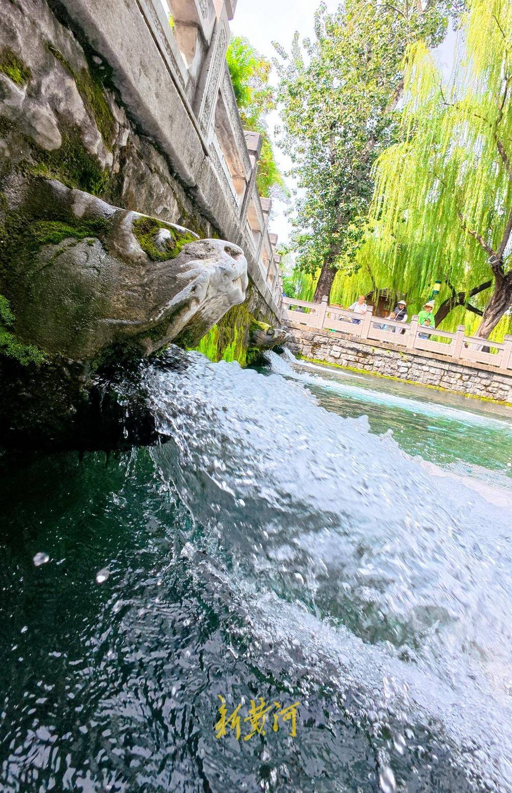 波多黎各职业女子篮球联赛_喷涌势头旺盛波多黎各职业女子篮球联赛，济南黑虎泉将迎恢复喷涌22周年