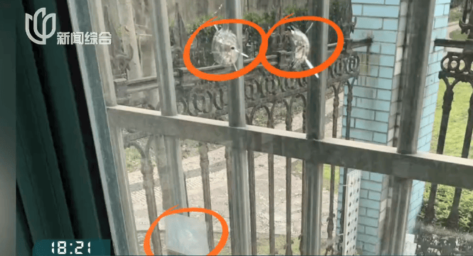 体育皇冠信用网_叶某(60岁)已被刑拘体育皇冠信用网！监控曝光…网友怒斥如此行径太恶劣