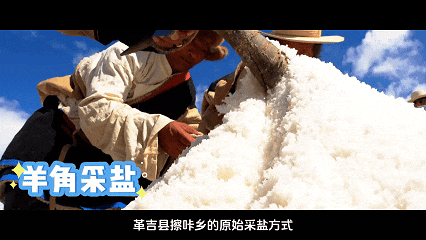 皇冠信用网登2代理_辉煌60年·遇见高原的城｜白玛普赤带皇冠信用网登2代理你游革吉