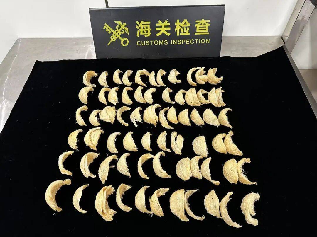 怎么开通皇冠信用盘盘口_太恶心！女子被查怎么开通皇冠信用盘盘口，在打底裤内搜到了用塑料袋包裹的大量食品……