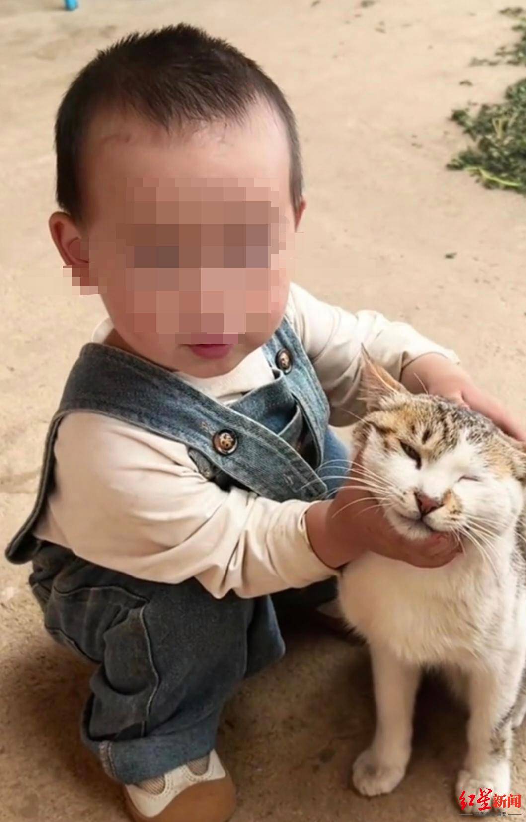 皇冠信用網平台出租_2岁女童家门口失踪10多天：在离家3公里山上石缝中找到皇冠信用網平台出租，已不幸离世