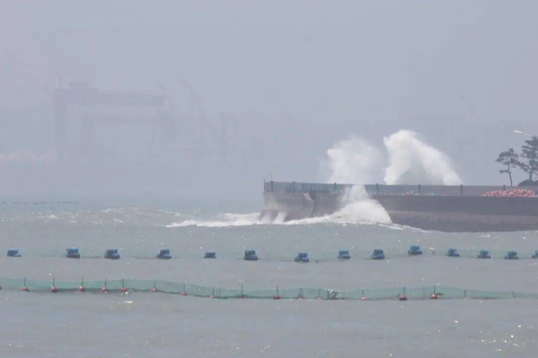 信用网怎么开户_暴雨、大风、大浪来袭信用网怎么开户！青岛市发布防汛预警！