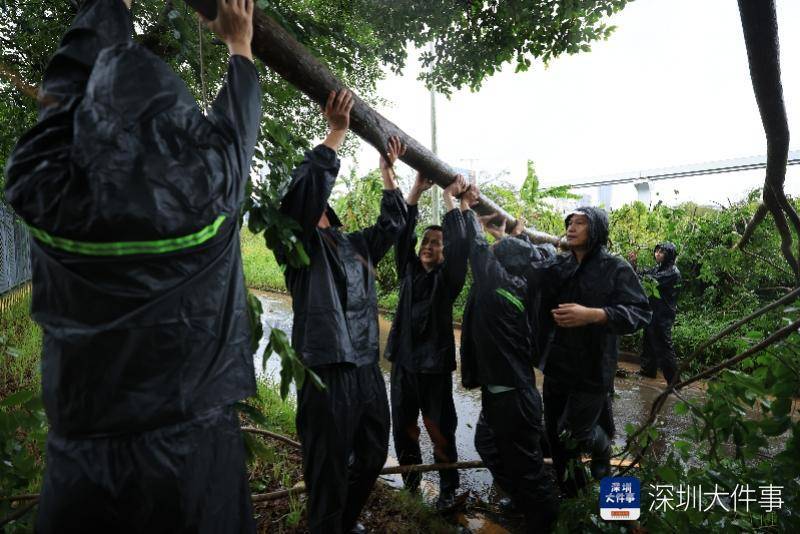 皇冠信用开户_从“山竹”开始皇冠信用开户，深圳这家企业每遇台风都组织员工排险清障