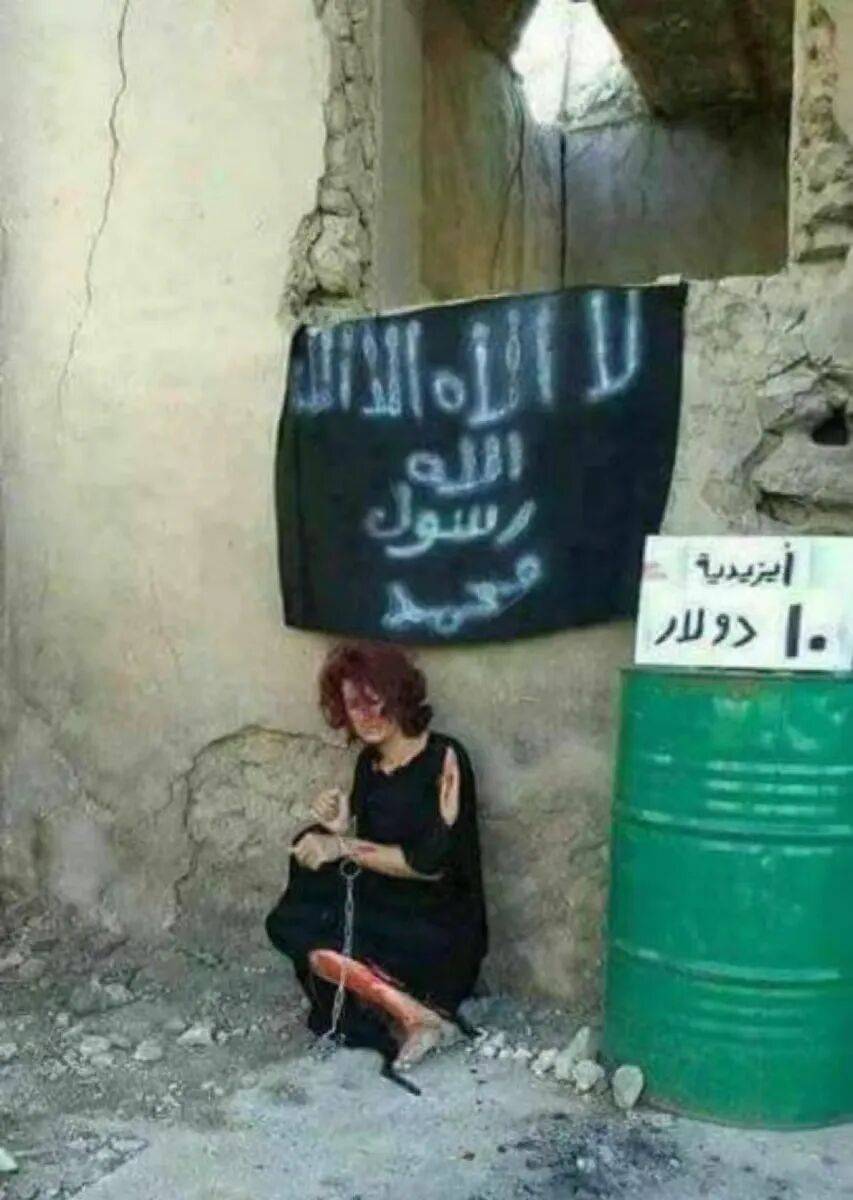 皇冠信用网怎么代理_美国迎来一位最特殊客人皇冠信用网怎么代理，世界哭笑不得