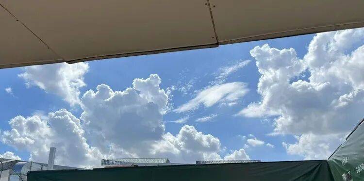 皇冠信用盘怎么申请_上海又热成全国第一！网友连呼“回到黄梅天”皇冠信用盘怎么申请，还要热多久？