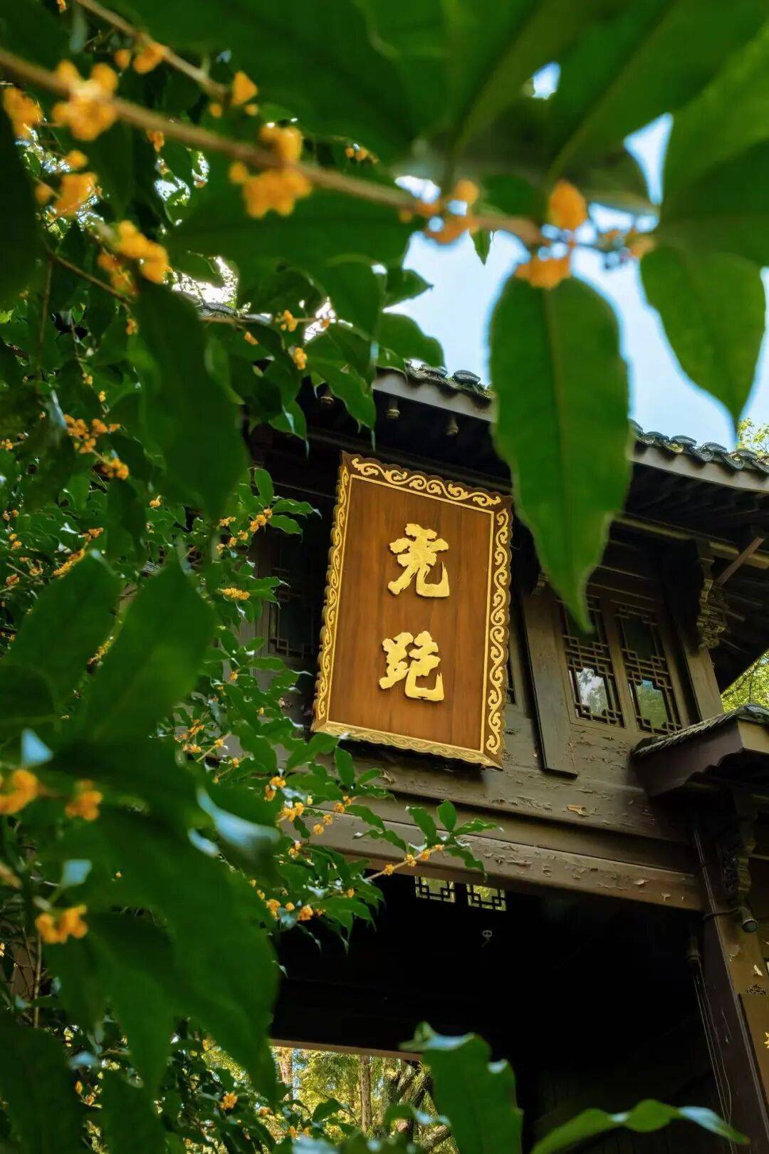 皇冠信用网在线申请_进度达70%！杭州即将进入全盛期皇冠信用网在线申请，别错过！