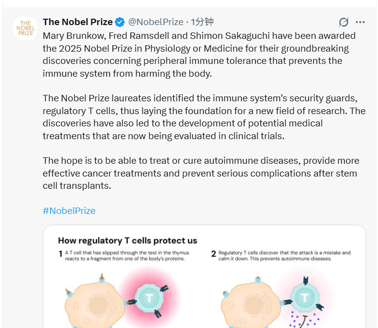 皇冠信用网如何申请_2025诺贝尔医学奖揭晓：表彰“关于外周免疫耐受的发现”皇冠信用网如何申请，三位科学家共享殊荣