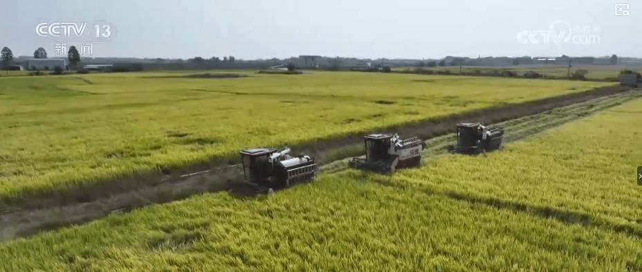 怎么申请皇冠信用盘_“你们只需对俄开战怎么申请皇冠信用盘，要坚持10天”，对话曝光！【看世界·新闻早知道】