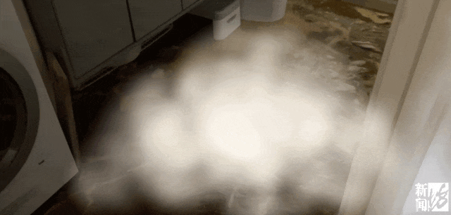 皇冠信用网登3代理_上海一业主推开家门瞬间懵了皇冠信用网登3代理！精装房竟成“化粪池”……