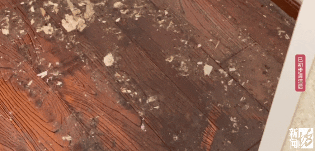 皇冠信用网登3代理_上海一业主推开家门瞬间懵了皇冠信用网登3代理！精装房竟成“化粪池”……