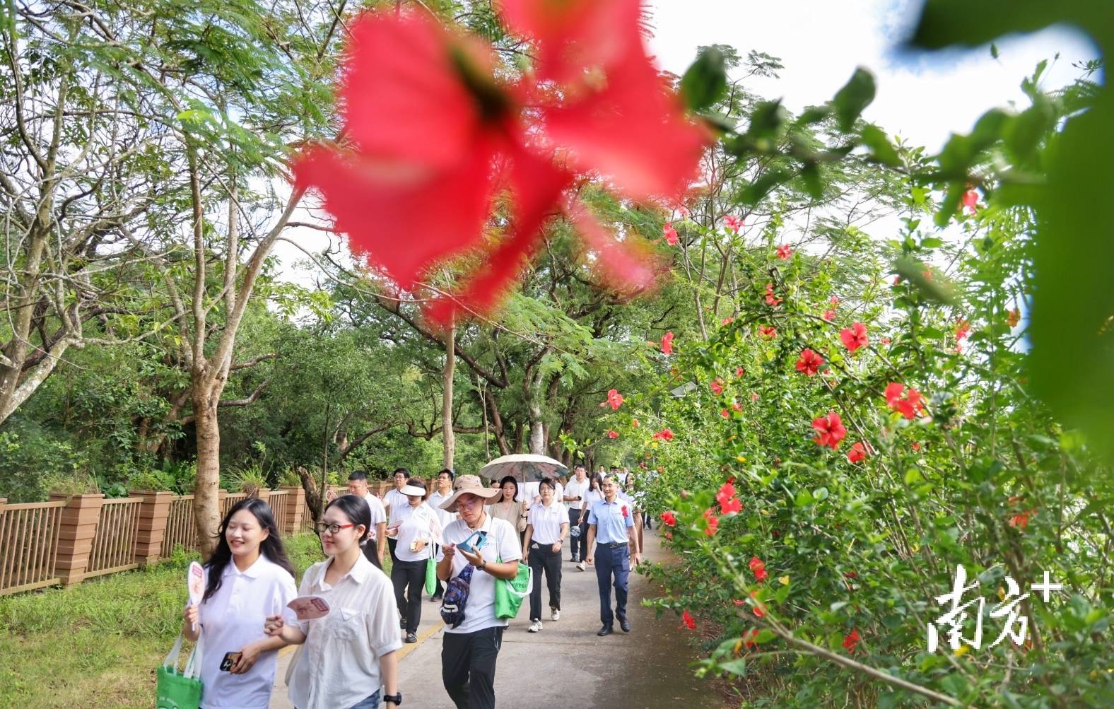 皇冠信用盘会员怎么开通_中山城建集团“连心桥”移交皇冠信用盘会员怎么开通，村企共建绘就桂南新画卷