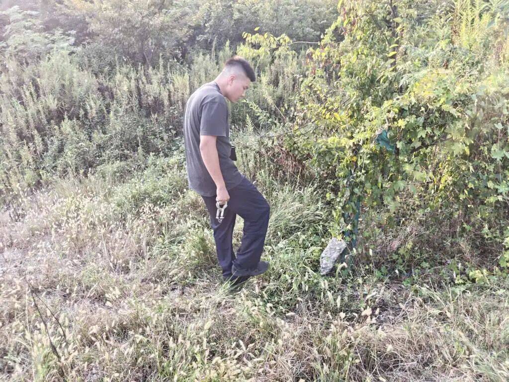 皇冠信用網可以占几成_浙江一姑娘以奶茶为记号皇冠信用網可以占几成，竟然在草丛里藏了11万现金！