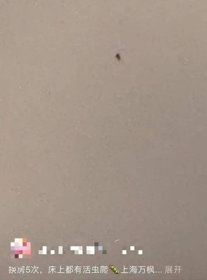 皇冠信用盘会员开户_被投诉“连换5次房床上都有虫爬”皇冠信用盘会员开户，涉事高档酒店回应