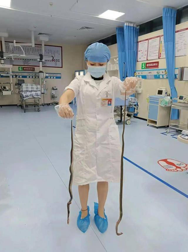 皇冠信用網需要押金吗_广东62岁阿叔网鱼网到2条眼镜蛇皇冠信用網需要押金吗，被咬伤后当场打死，并打包提进医院