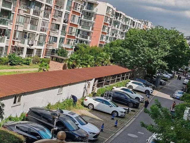 皇冠信用盘哪里申请_上海居民投诉后傻眼：只拆了一半！小区绿化被大量铁皮房霸占皇冠信用盘哪里申请，还有人住？居民直指小区公共收益疑云