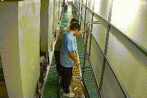 皇冠信用盘会员注册网址_【关注消防】数十万损失+10日拘留皇冠信用盘会员注册网址！违规动火的“天价账单”