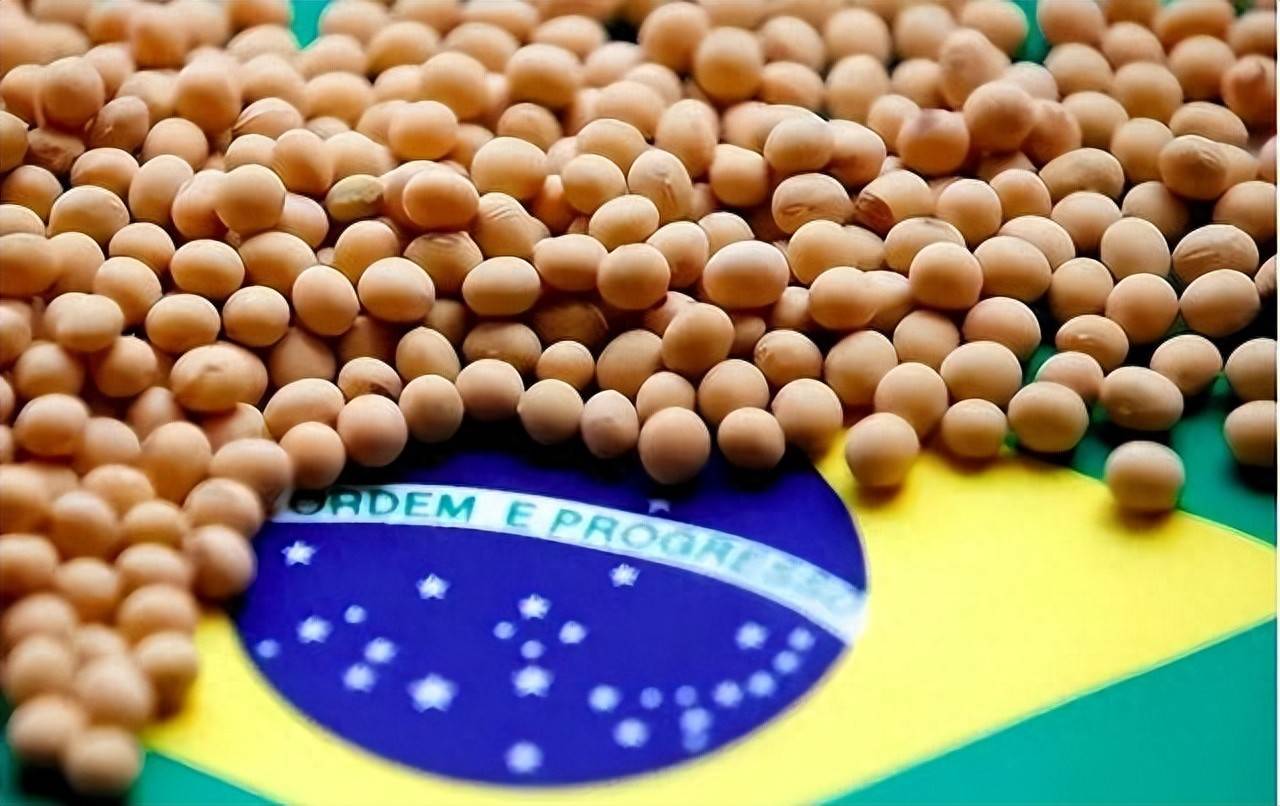 登1登2登3信用盘_200万吨大豆烂港！巴西主动降价登1登2登3信用盘，中国转头下单三船美国大豆，巴西自食其果了