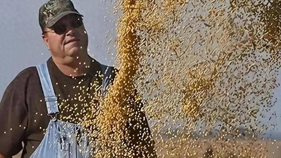 登1登2登3信用盘_200万吨大豆烂港！巴西主动降价登1登2登3信用盘，中国转头下单三船美国大豆，巴西自食其果了