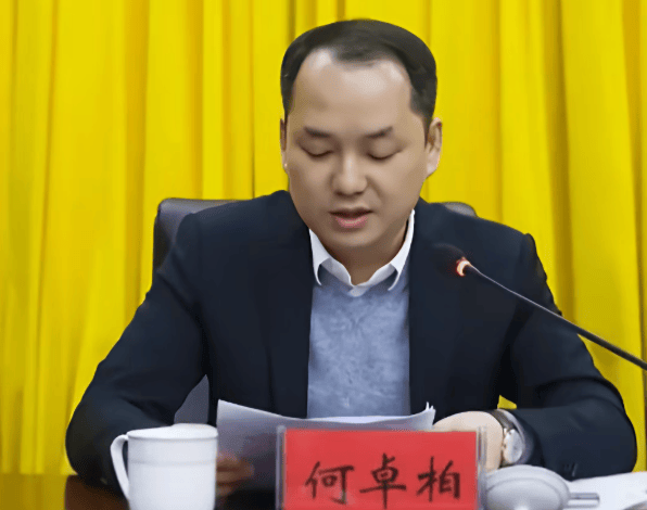 世界杯足球赛_何卓柏世界杯足球赛，严重违纪违法