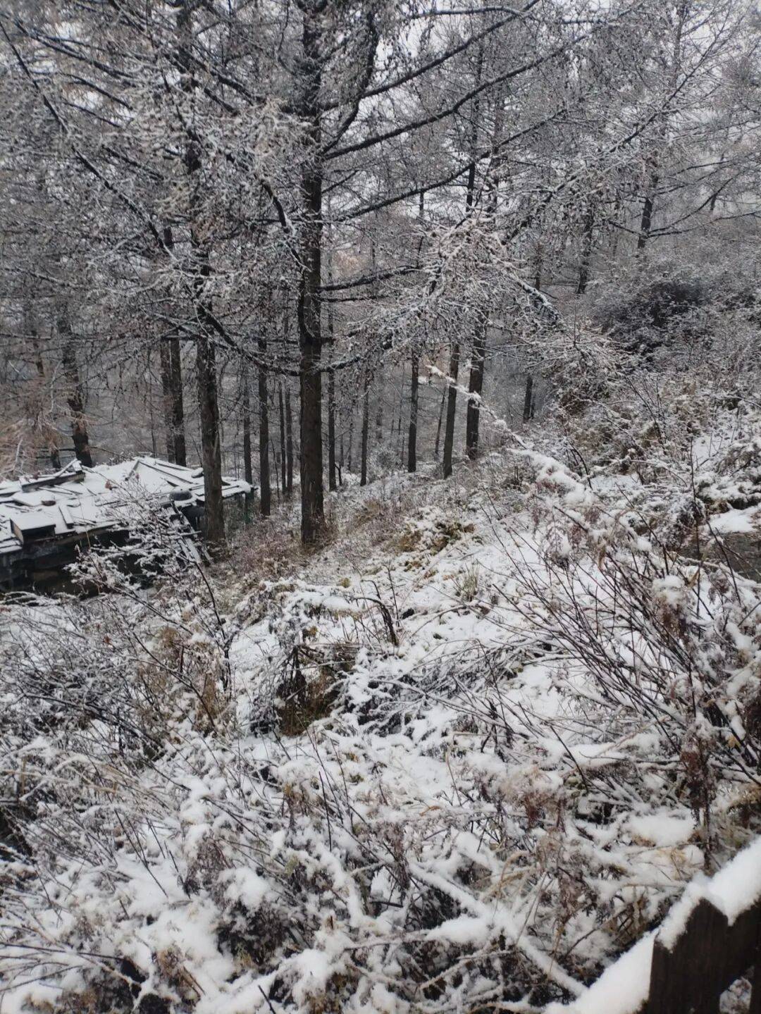 正版皇冠信用网开户_石家庄下雪了！河北将迎中到大雪正版皇冠信用网开户，未来三天……