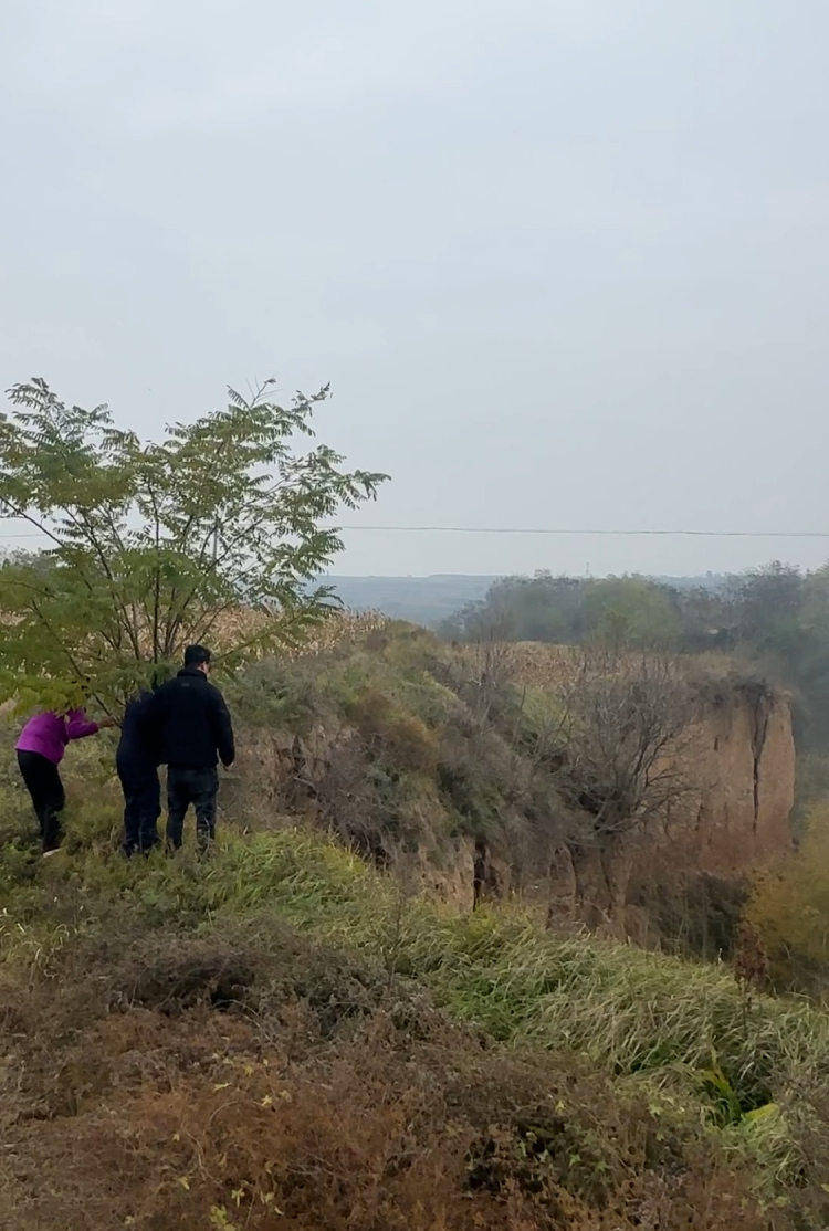 皇冠信用盘在线申请_陕西咸阳一男子打晕妻子误以为已死皇冠信用盘在线申请，将人扔下土崖致其死亡被公诉