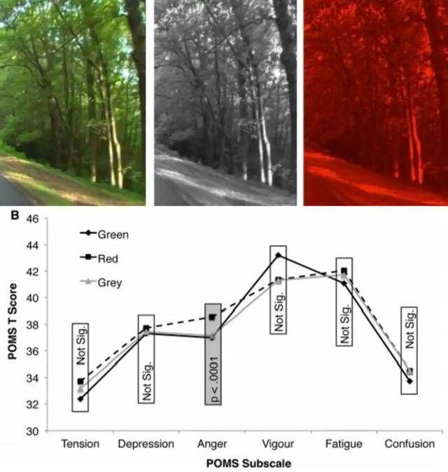 皇冠信用盘在哪里开通_年代剧的墙皇冠信用盘在哪里开通，为什么都是上白下绿？