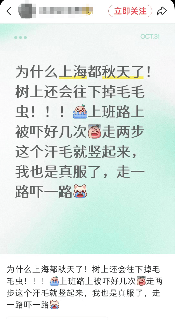 皇冠会员如何申请_汽车被虫子啃得都是窟窿皇冠会员如何申请，“一边咬一边往里钻”！很多人中招