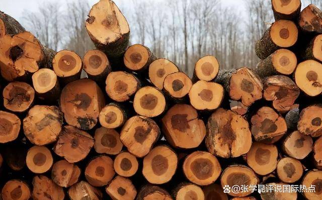 正版皇冠信用网开户_48小时内正版皇冠信用网开户，中方连下3令，特朗普别高兴太早，承诺一个都不能少