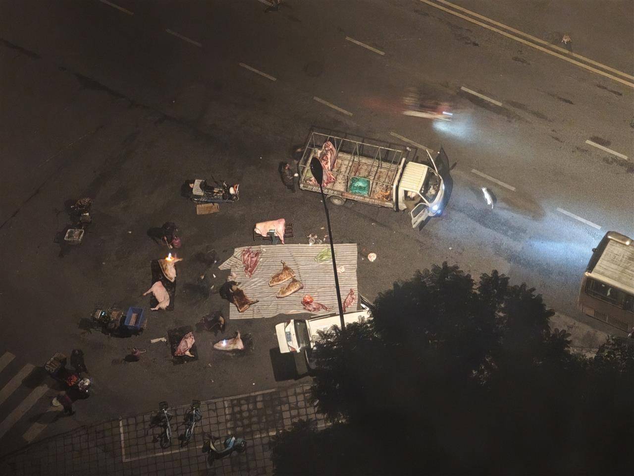 皇冠信用网登2代理_成都街头凌晨惊现“流动猪肉摊”皇冠信用网登2代理，一群人在路边地上剁猪肉为摊贩供货，当地回应