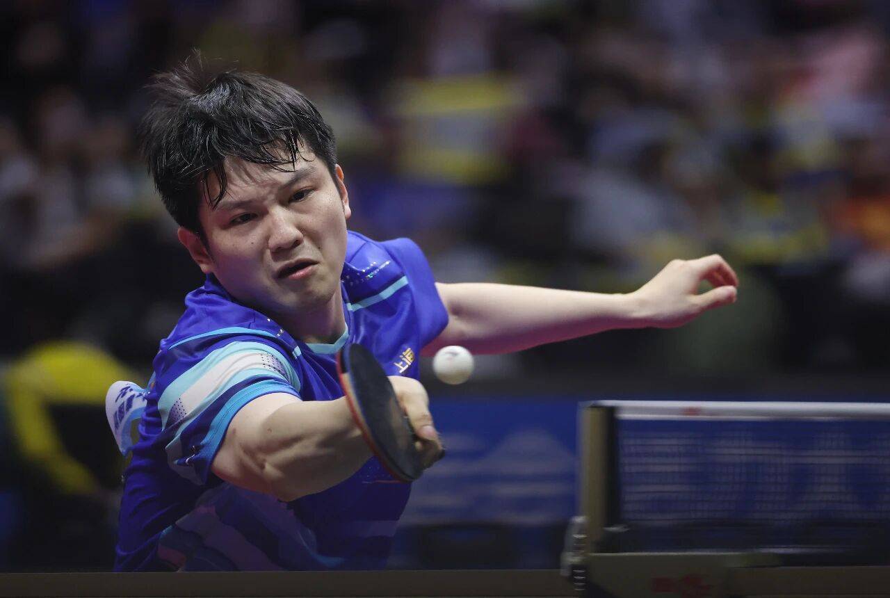 皇冠信用盘在哪里开通_现场｜当樊振东把全运会打成舒适区皇冠信用盘在哪里开通，我们要急着他回来吗？