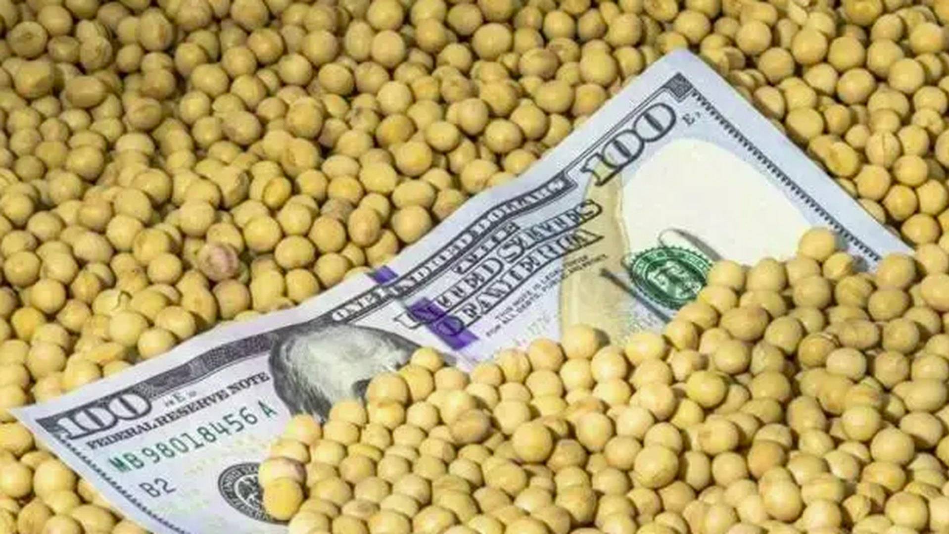 皇冠信用盘在线开户_美国大使给中方发来通牒皇冠信用盘在线开户，要求交出港口！美媒发现：中国采购美国大豆陷入停滞