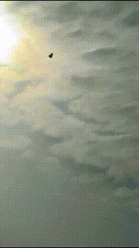 皇冠登1登2登3出租_被打惨后皇冠登1登2登3出租，伊朗空军飞行员对苏-57感到失望：本来要买150架歼-10