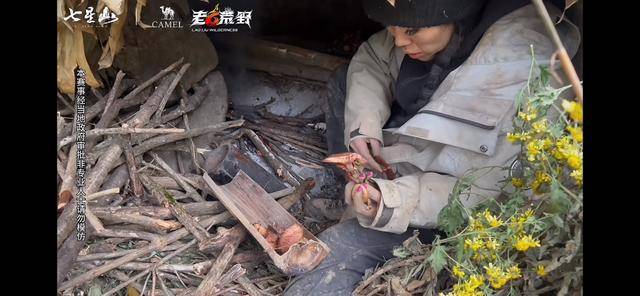 皇冠信用盘开户_“冷美人”退赛皇冠信用盘开户，错失20万奖金