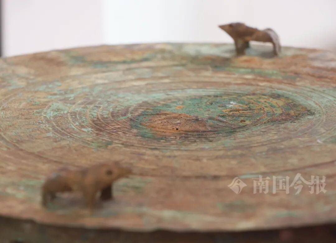 皇冠信用网登3代理_柳州钓鱼阿叔竹林挖蚯蚓皇冠信用网登3代理，竟挖出千年前的“大宝贝”！