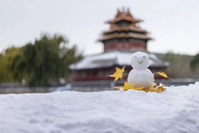 埃及足球_北京周五的雪“稳”了！大部中雪、局地暴雪埃及足球，但故宫周六的票约满了……