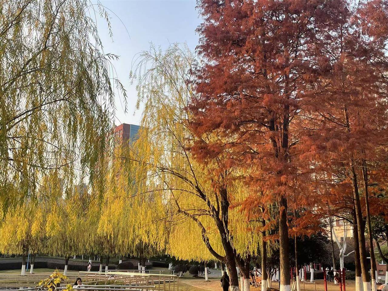 伊斯托里尔 vs AVS_破纪录！武汉人度过65年来12月中旬最暖的一天！今晚起气温满20-10伊斯托里尔 vs AVS，今冬最冷时段即到！