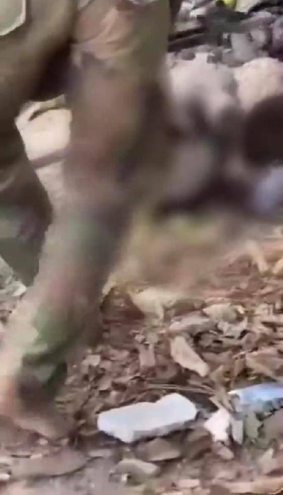 综合过关2串1 和 3串1有什么区别？_就在刚刚综合过关2串1 和 3串1有什么区别？，泰国军队遭最大惨败：柬埔寨敢死队手持56冲，光脚冲锋