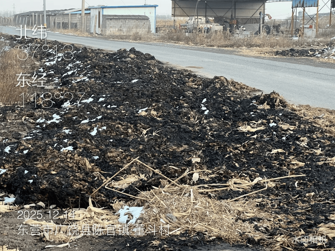 意大利乙组联赛_广饶县：农村人居环境亟待提升