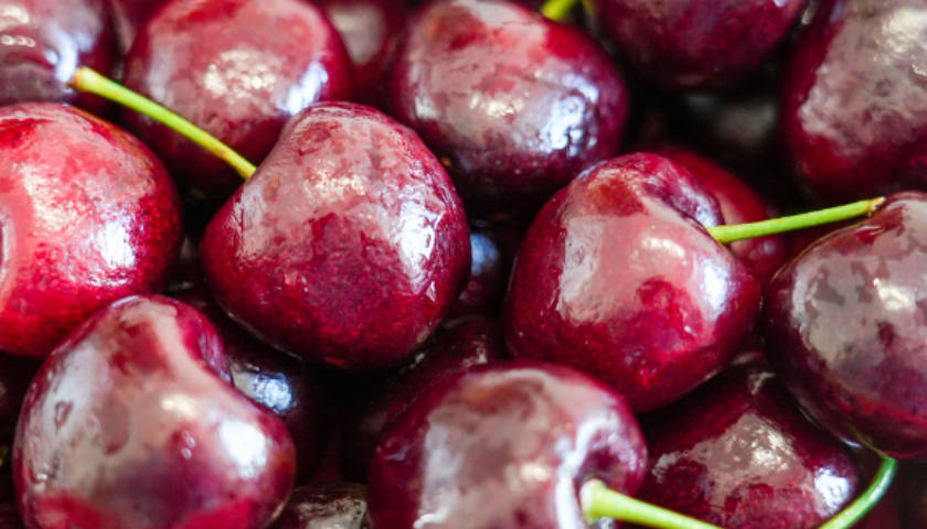 谢周三 vs 布里斯托城_价格“大跳水”谢周三 vs 布里斯托城！超50万吨智利车厘子将涌入中国