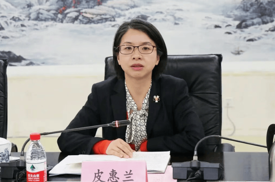 德国 vs 北爱尔兰_共青团武汉市委书记皮惠兰履新武汉市委市直机关工委