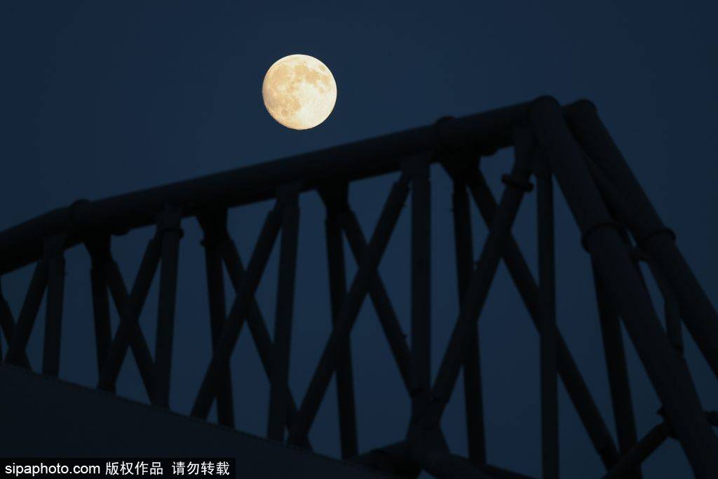 纽约城vs华盛顿特区联_斯洛特换人引众怒纽约城vs华盛顿特区联，利物浦球迷大失所望：0-0平局背后的战术失误与球迷心声