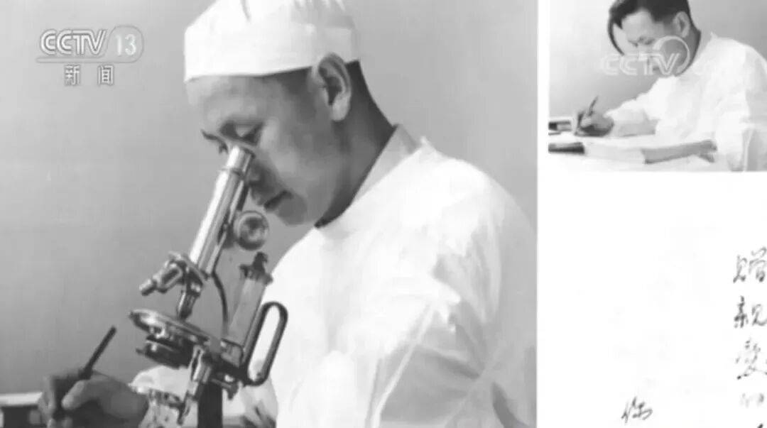 狼队vs西汉姆联_联合国通过决议：纪念“糖丸爷爷”狼队vs西汉姆联！