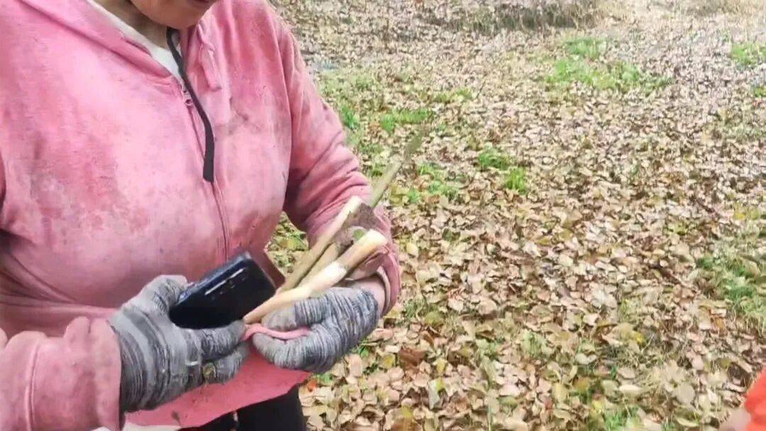 皇冠信用在线开户_宁波女子上山挖笋遇大雾迷路皇冠信用在线开户，足足困了两个多小时，获救时哭了，消防提醒→